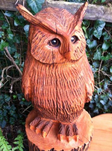 Red cedar owl