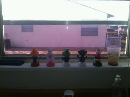 Kitchen window where my seeds germinate and my sun dancers are....