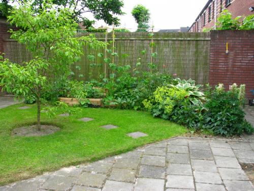 Overview of the "tidy" part of back garden (end June)