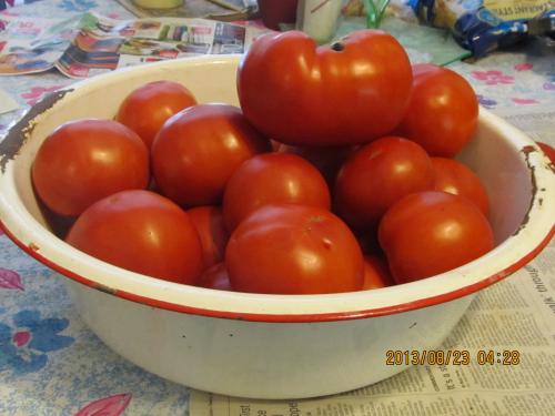 Big Boy tomatoes