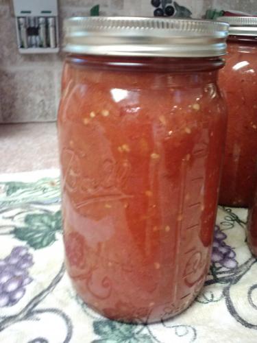 thick tomato sauce 2013
