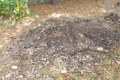 One of three compost piles.