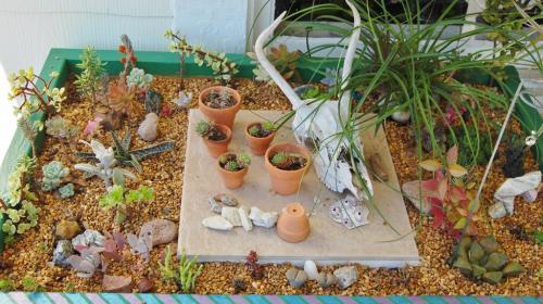 Succulent mini garden table.