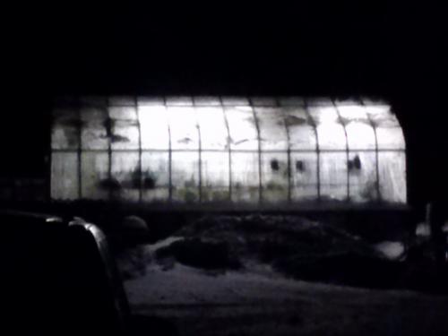 my greenhouse in the dark