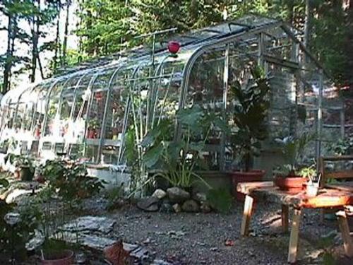 my greenhouse