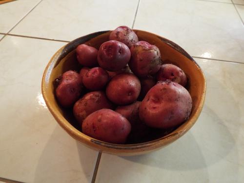 Bowl of new potatoes