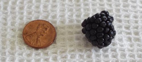 size of dewberry