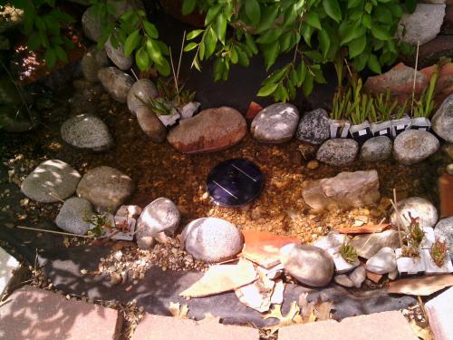 An overhead shot of stream. The black object in the center is a solar fountain. 