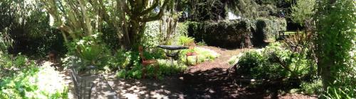 Filbert shade garden prior to removal