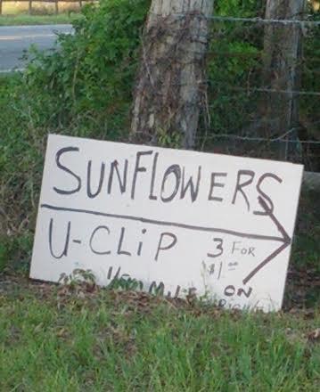 Sunflowers U-Clip