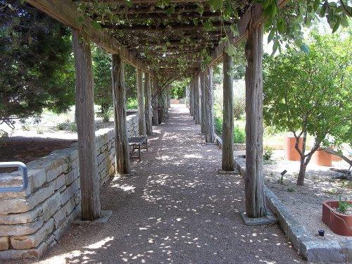 Grape Arbor looking the other way