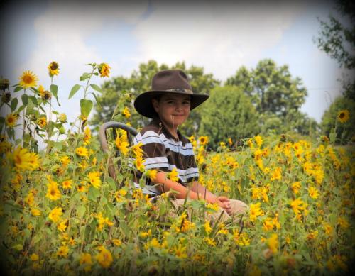 Our Grandson in the sunflower patch