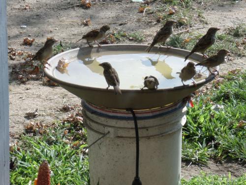Little busy at water cooler