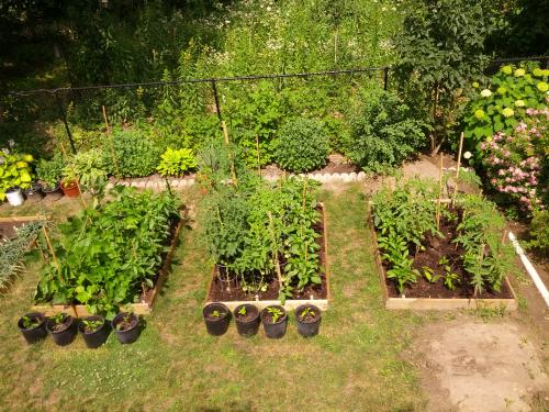 my tiny garden before the green house was build