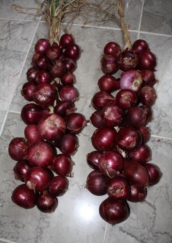 Red burgundy onions