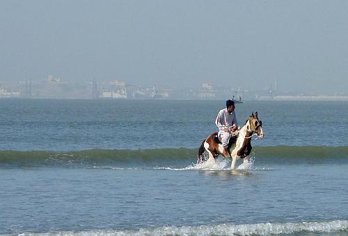 Horse rides at the beach