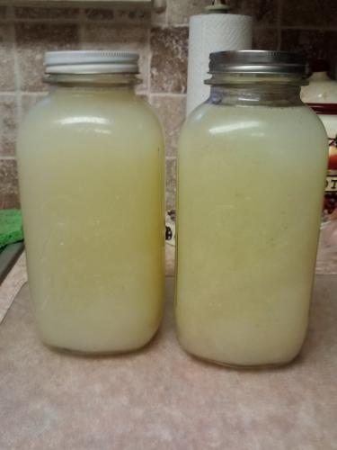 2 half gallons lime juice