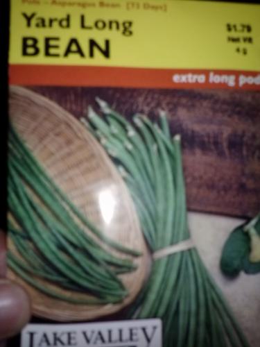 yard long beans