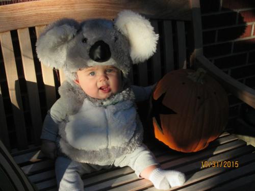William ; my little Koala Bear :)
