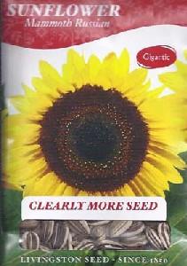 Mammoth Russian sunflower seeds
