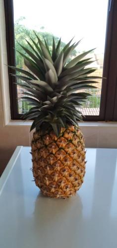 Long Awaited Pineapple
