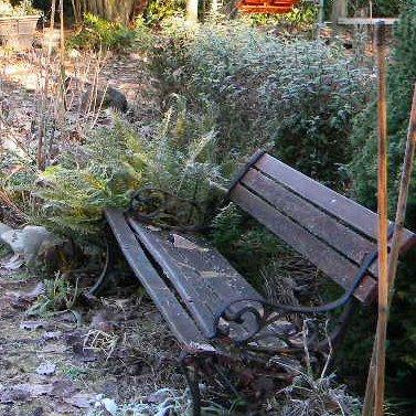 The bench to use for getting into the vegie garden