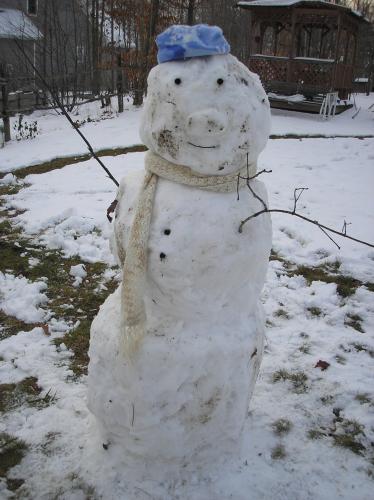 our November snowman