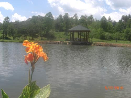 view of gazebo from across the pond