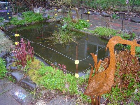 Electric fenced fish pond