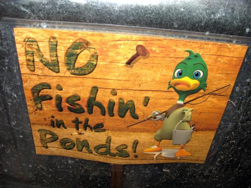 No Fishin'
