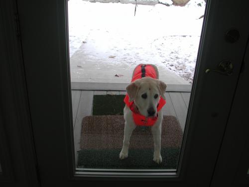 Please let me in and get me out of this silly coat