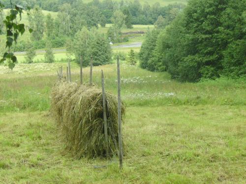 How to dry hay the old Norwegian way