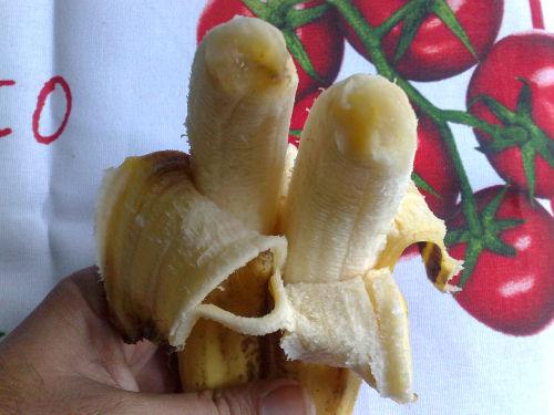 Conjoined Twin Bananas 4