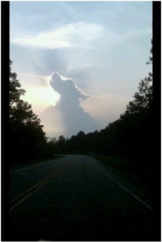 Dog cloud.  Dogsmart training systems photo