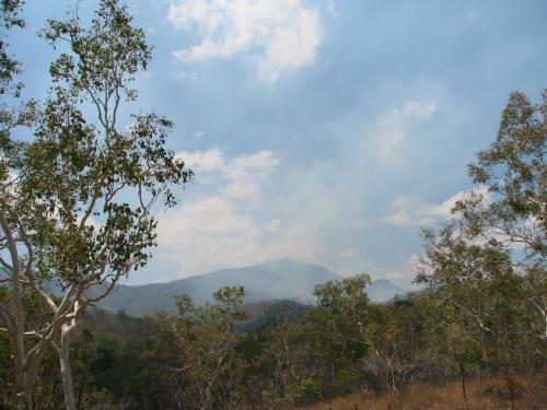 Looking over the bushland during 'dry' season