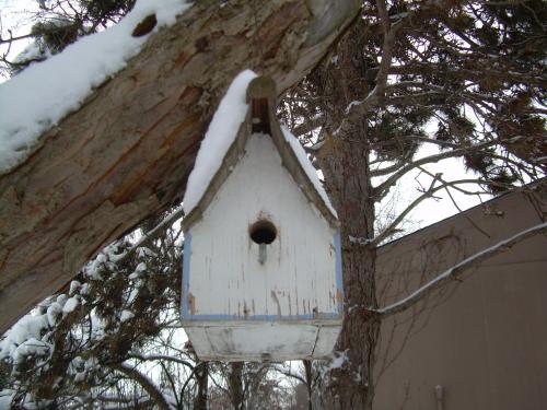 old birdhouse
