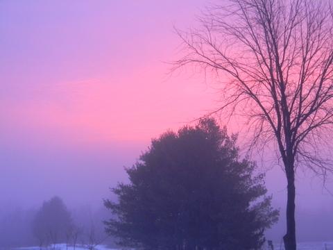 Sunrise threw the fog.