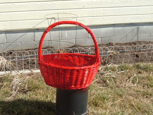 Geranium basket