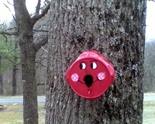ladybug on tree