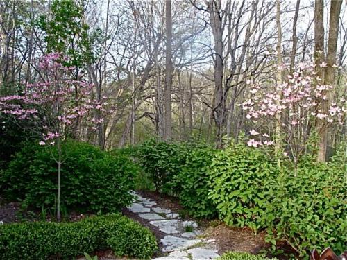 Dogwood trees at entrance of the garden path.