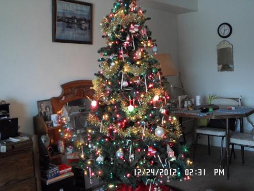 My Little tree,Merry Christmas