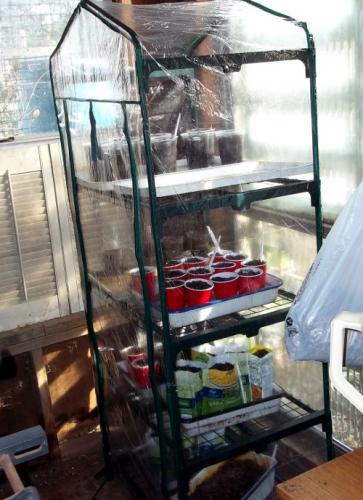 Greenhouse, asst. containers and seeds