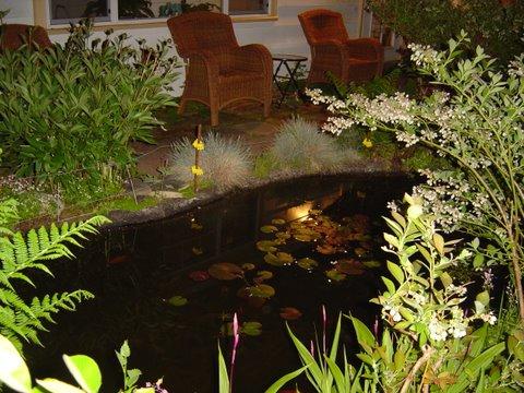 My Big Pond - At Night