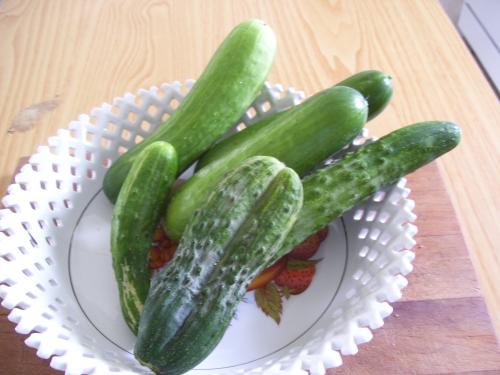 Good eating cukes and some pickles. One's a twin.