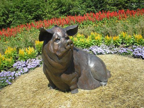 pig statue in childrens garden