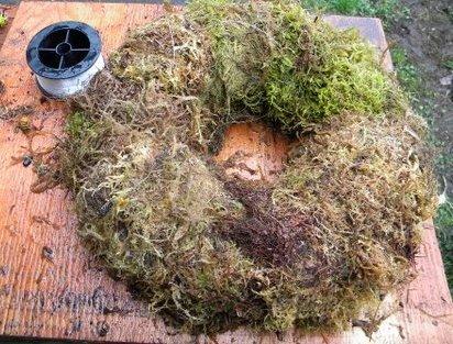 completed moss covered form