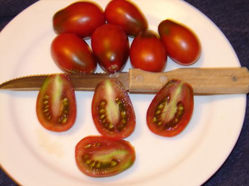 Photo of Solanum lycopersicum