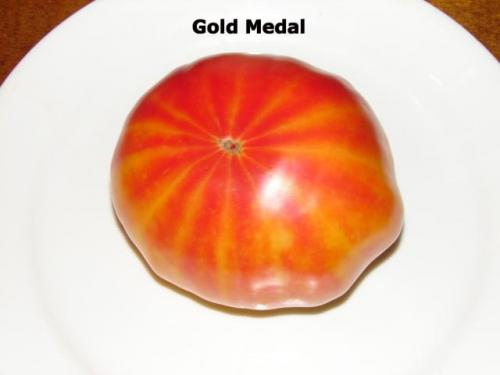 Photo of Solanum lycopersicum 'Gold Medal'