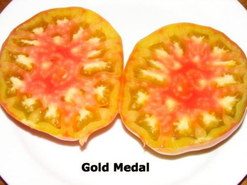 Photo of Solanum lycopersicum 'Gold Medal'