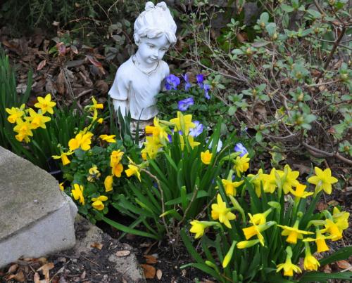 Photo of Narcissus 'Tete-a-Tete' (Tete-a-Tete Daffodil)